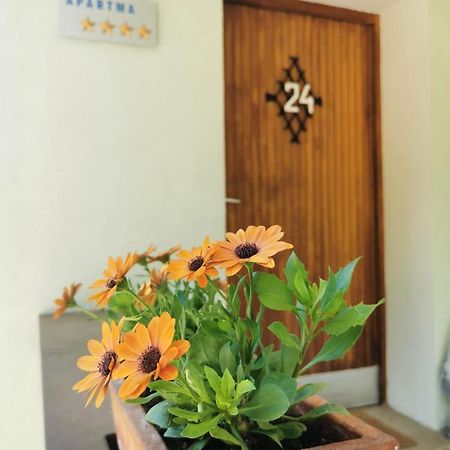 יסניצה Apartma Rekar - A House, Where You Can Relax In The Embrace Of Nature מראה חיצוני תמונה