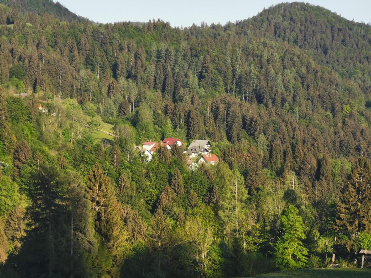 יסניצה Apartma Rekar - A House, Where You Can Relax In The Embrace Of Nature מראה חיצוני תמונה