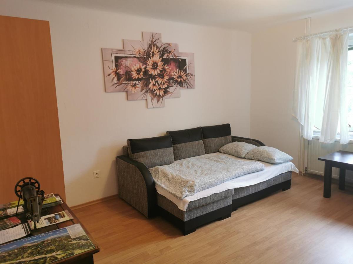 יסניצה Apartma Rekar - A House, Where You Can Relax In The Embrace Of Nature מראה חיצוני תמונה